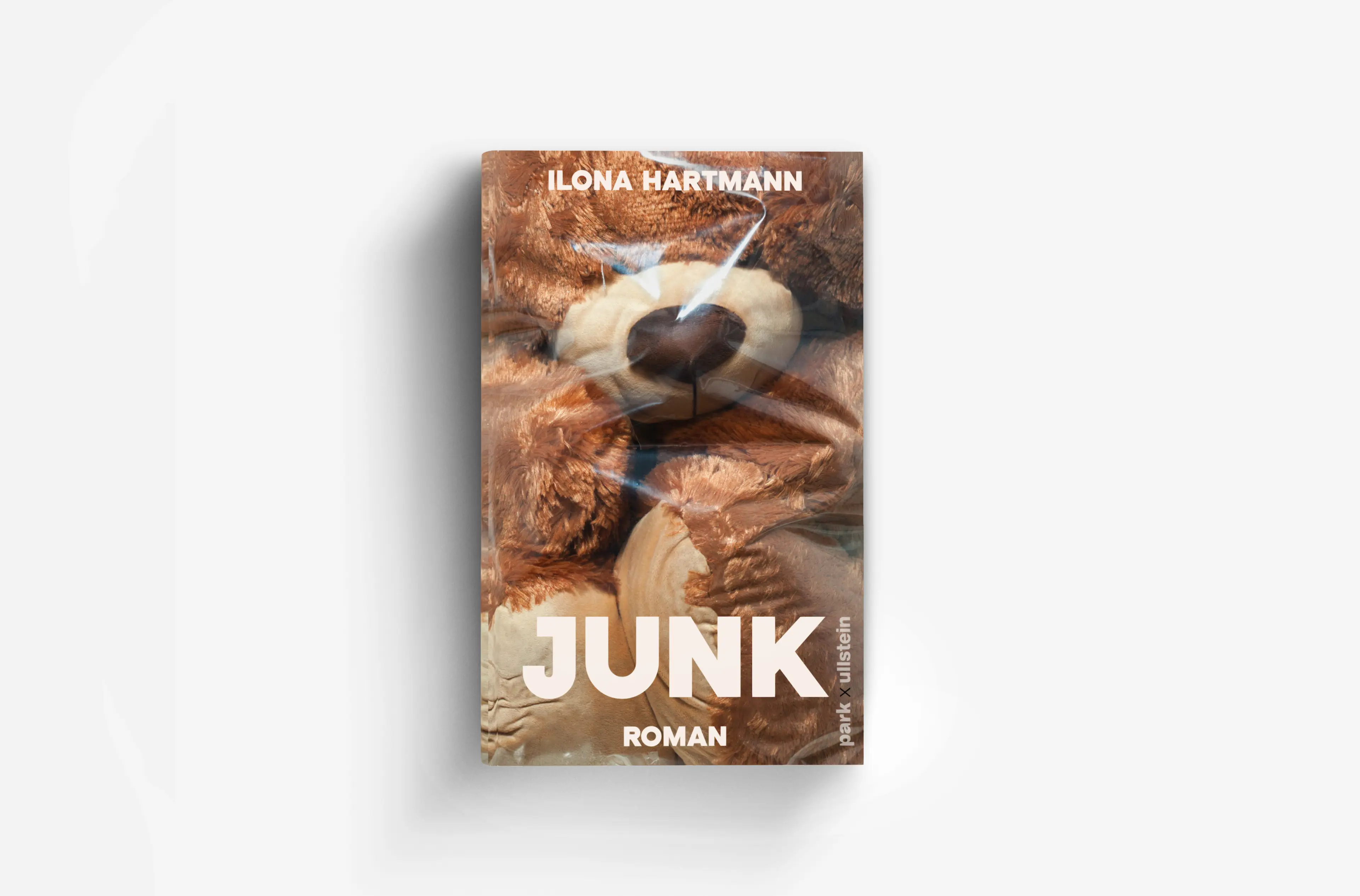 Ilona Hartmann:  „Junk“