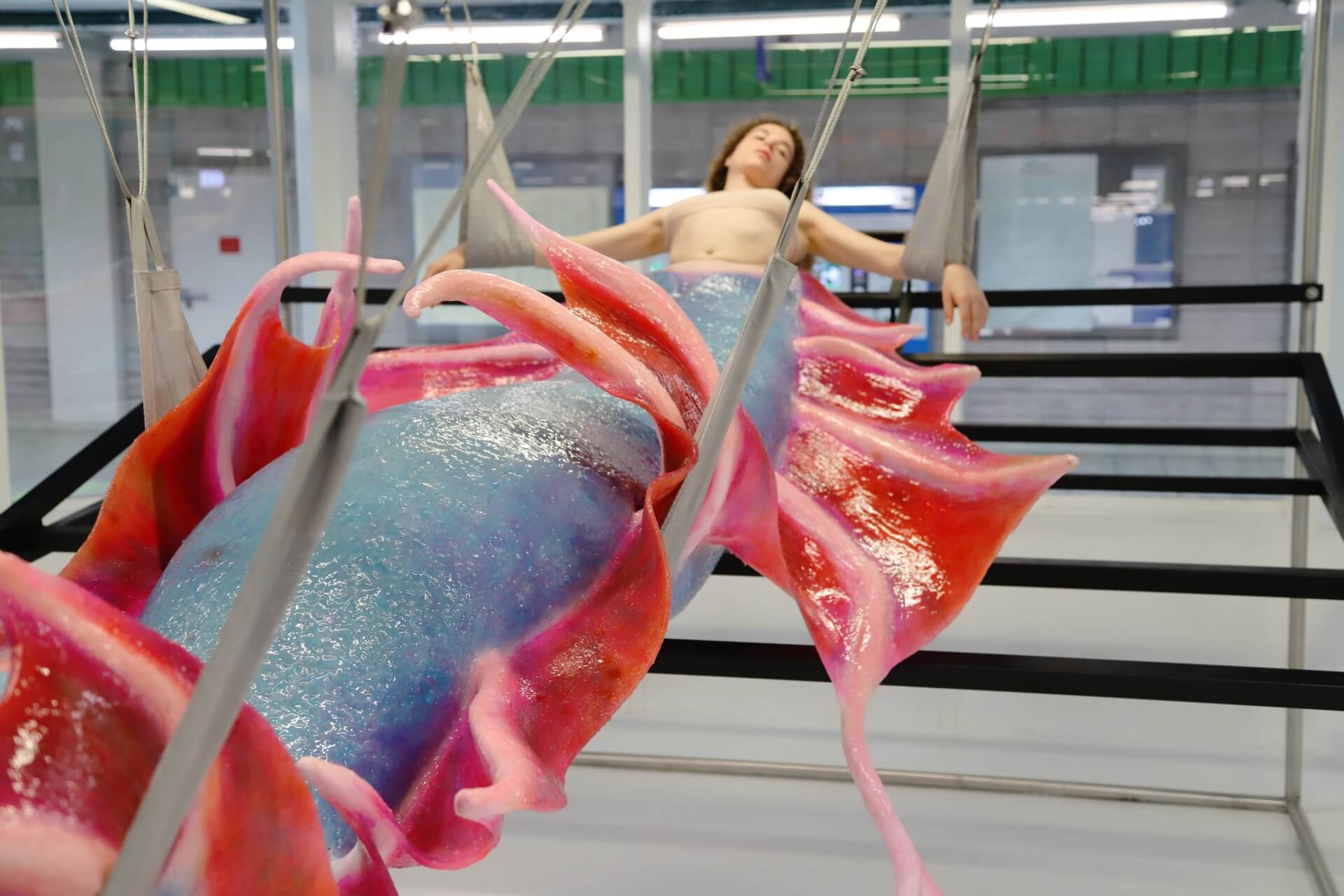 Eröffnung: Anatomie der Fragilität