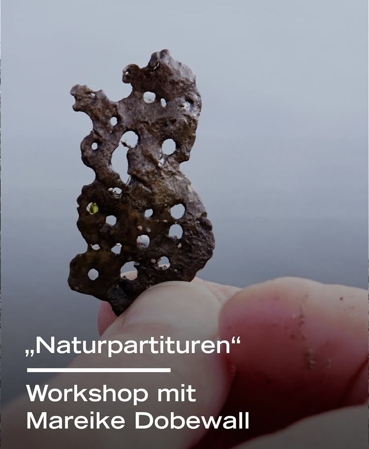 Workshop „Naturpartituren“