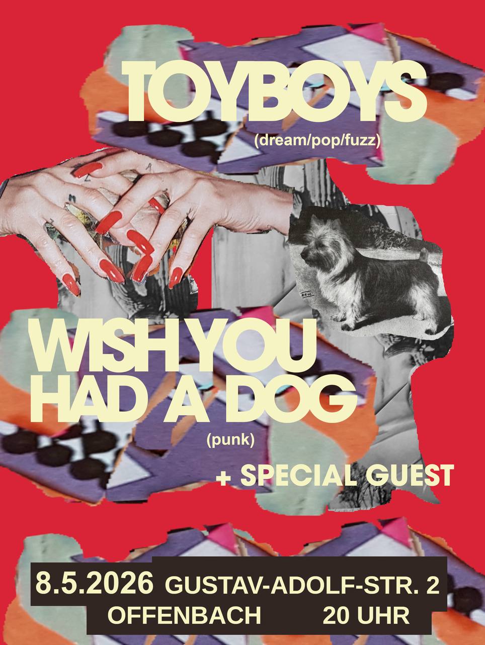 TOYBOYS / WISH YOU HAD A DOG