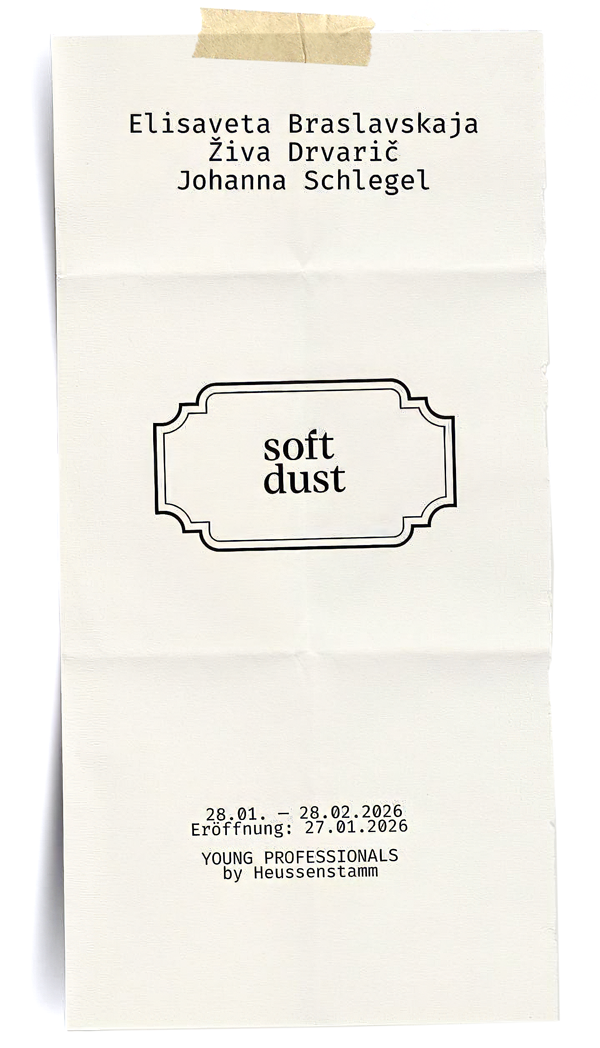 soft dust: Artist Talk